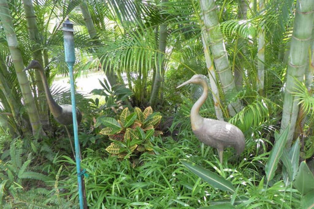 Peaceful garden paths into the property