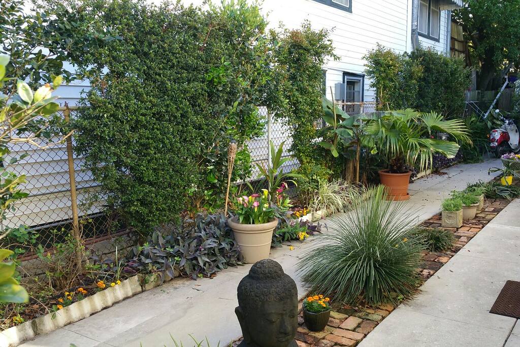 View from your side door.