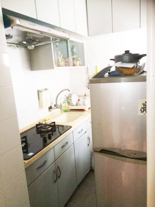 Fridge/freezer, 2 hobs and small oven.