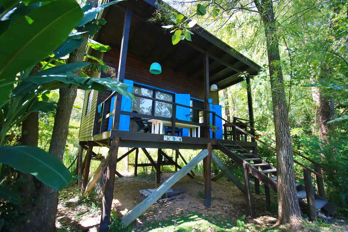 A wooden cabin is elevated on stilts amidst lush greenery. It features bright blue shutters and a spacious deck with outdoor seating. Stairs lead to the entrance, surrounded by trees and vibrant plants, creating a serene and private atmosphere.