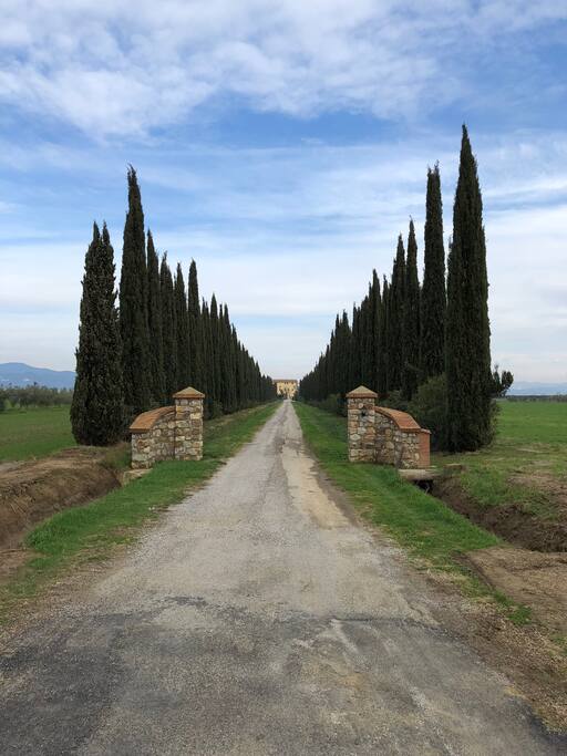 Il viale di ingresso alla Fattoria di Franciana