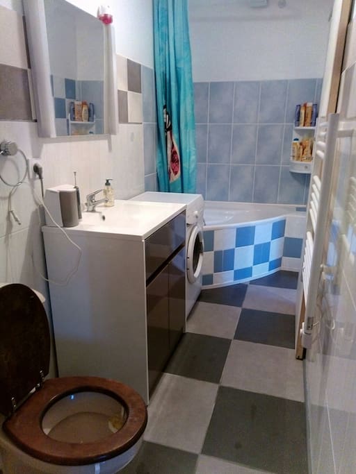 Salle de bien avec WC