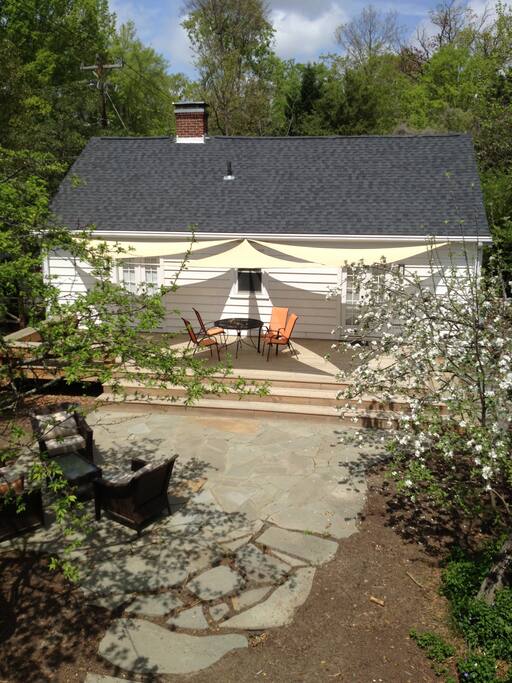 Backyard patio and deck