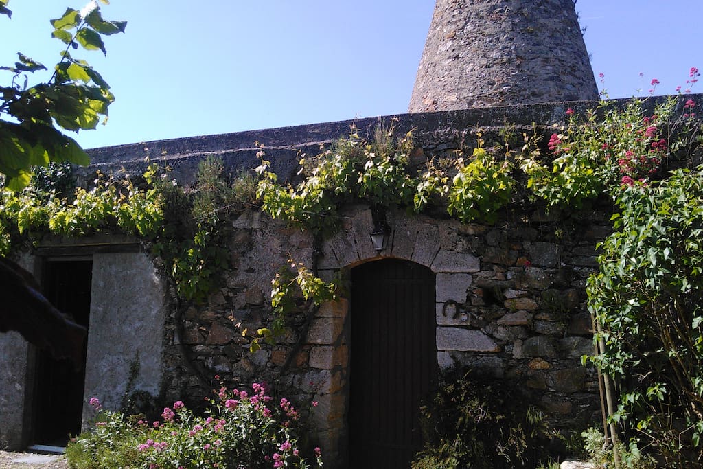 le moulin