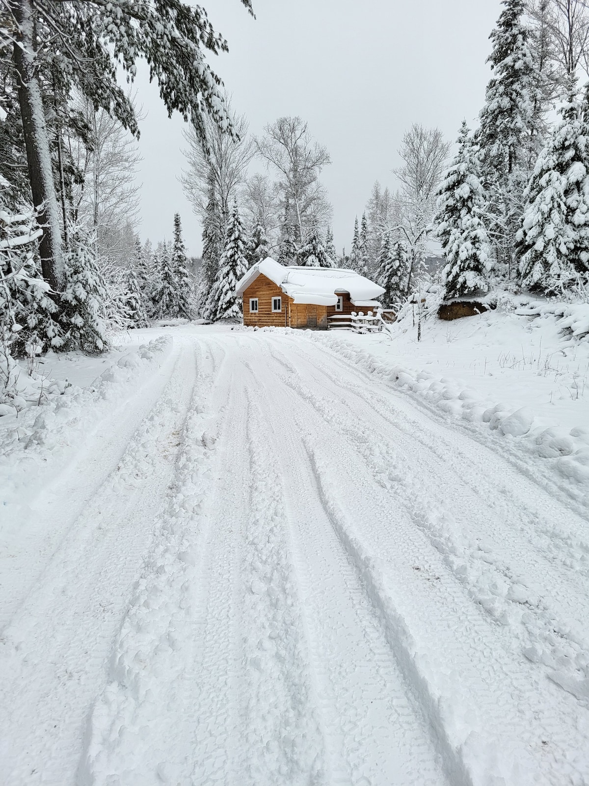 A snow-covered road leads to a charming wooden cottage set amidst tall, snow-laden trees. The muted winter landscape features a tranquility only found in nature, with soft white drifts lining the pathway and the cottage warmly emerging from the snowy backdrop.
