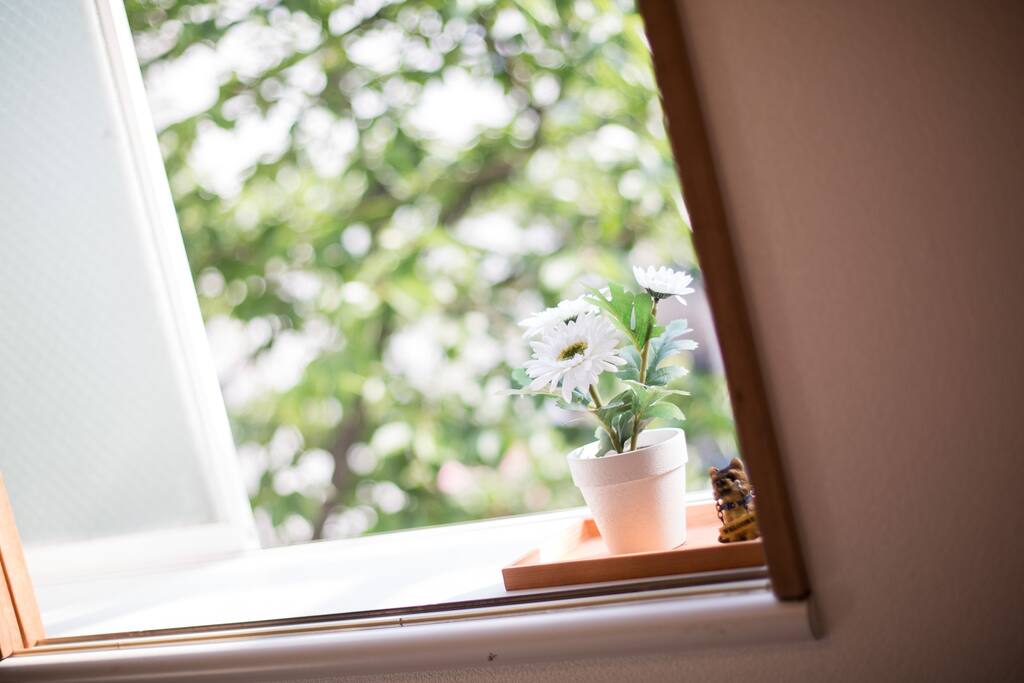 Bedroom 3窗邊裝飾/window decoration