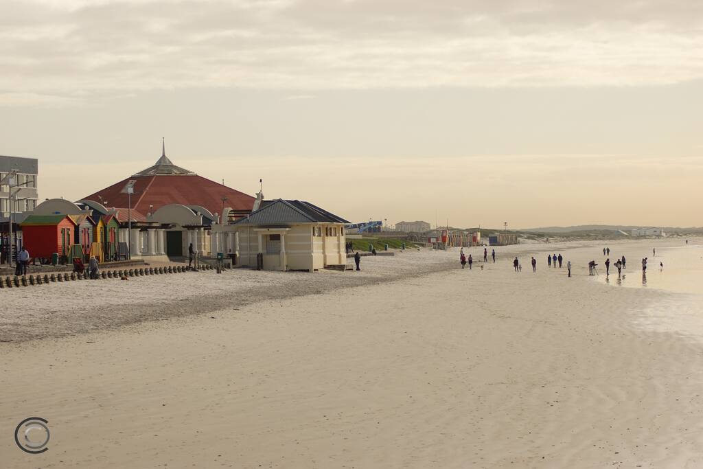 Just across the road from your garden haven. From CapeTownDoIt