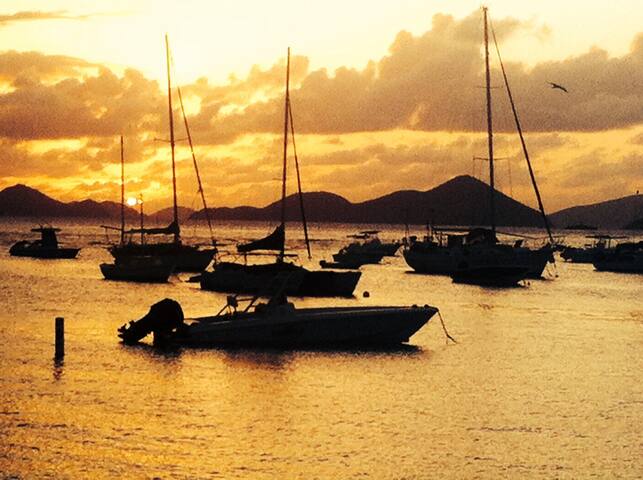 In The Heart Of Coral Bay