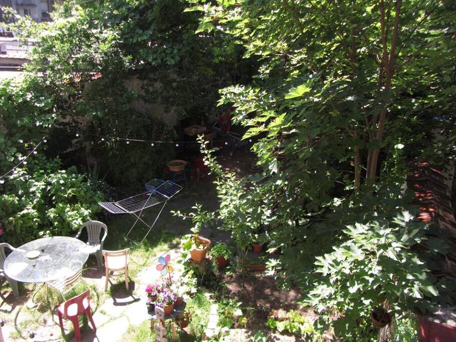 the garden