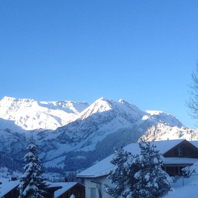 Winterpanorama