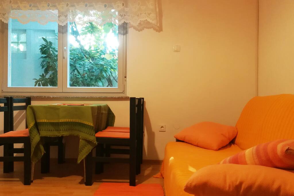 Living room / Kitchen