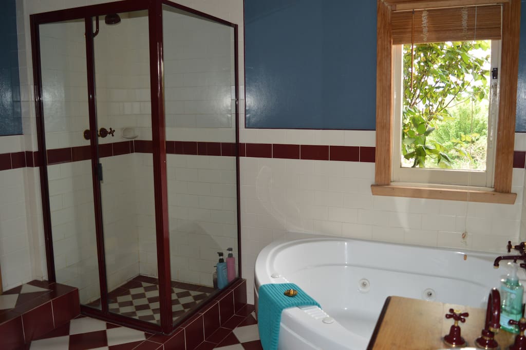 Bathroom with shower + Spa
