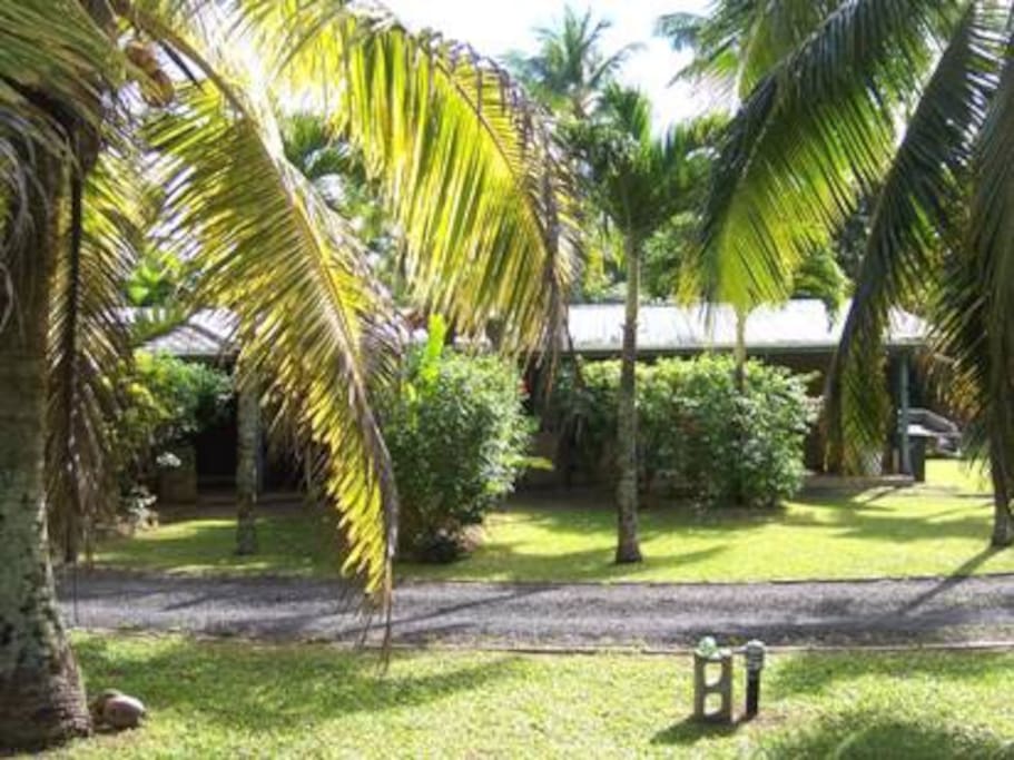 Manuae's Holiday Unit Rarotonga - formerly two units; now converted into one 'spacious' studio unit