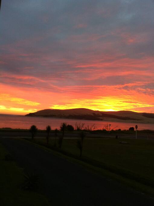Typical Hokianga subset