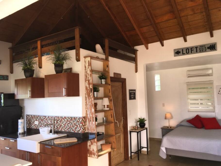 looking from pocket sliding doors to half of kitchen and sleeping area. Also a small hideaway loft. Book case doubles as a ladder to loft.