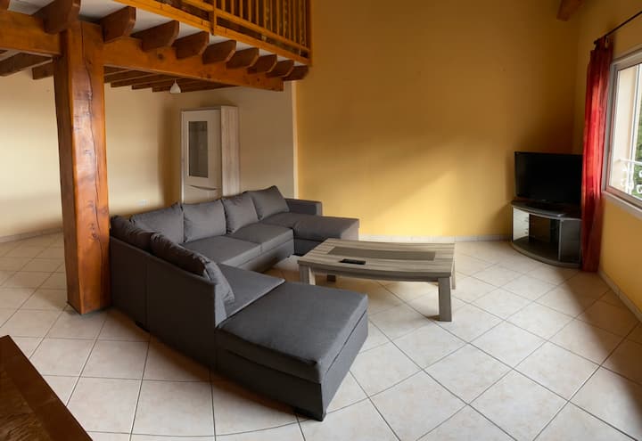 🌴 Le Gîte Des Palmiers 🌴 - Vals-les-Bains