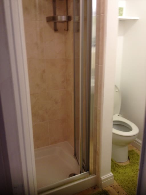 Shower room and loo