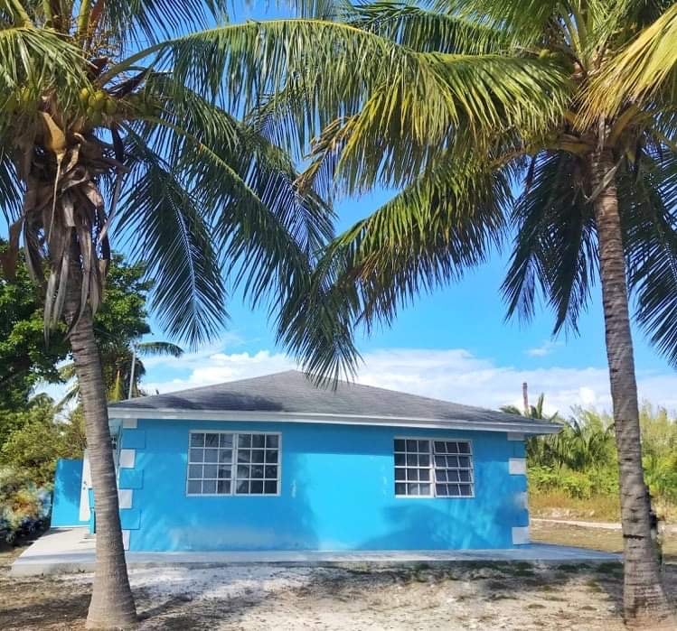 A vibrant blue exterior of the house is framed by palm trees against a clear blue sky. Large windows provide natural light, inviting a refreshing ambiance to the space. A clear path leads to the entrance, emphasized by the surrounding natural landscape.