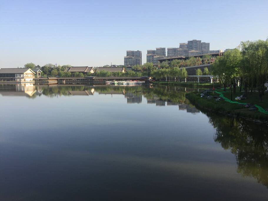 家门口曲江池遗址公园