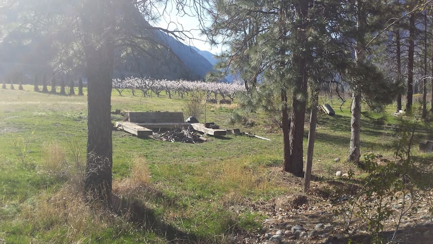 Private Riverside Campsite @ Molly's Beach Farm