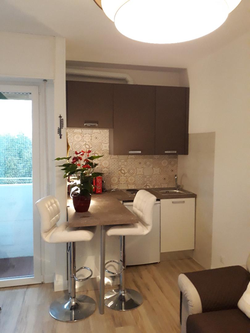 A compact kitchen area is equipped with modern cabinetry and a small sink. A stone countertop extends into a dining space featuring two high-backed stools. An ornamental plant sits in a vase, contributing a touch of color. Natural light filters in through a nearby glass door.