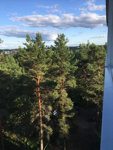 Small town flat with view  and 30 min to Helsinki