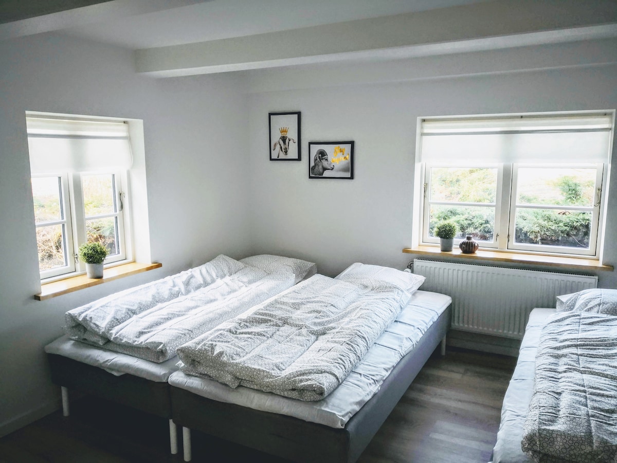 1号房间，有4张床