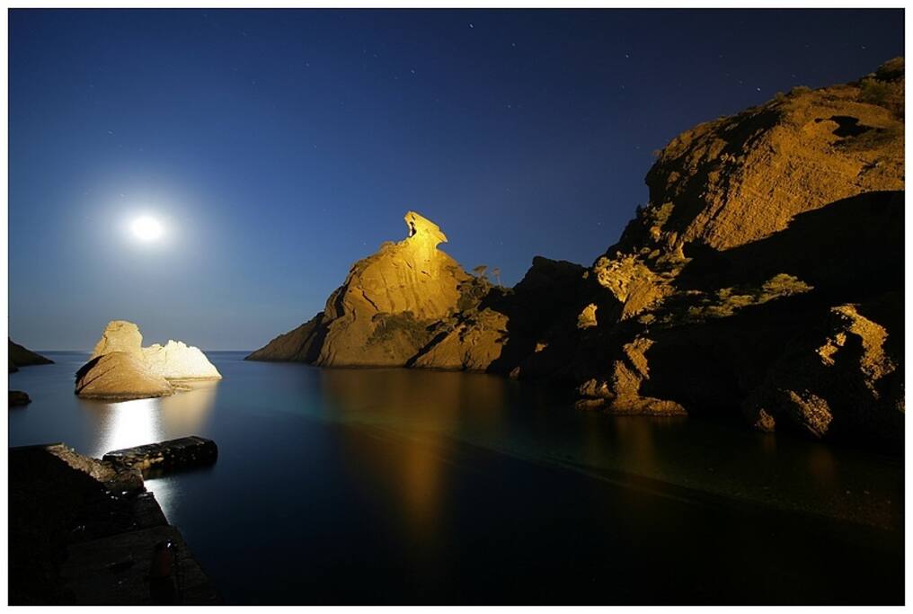 Le Capucin de nuit