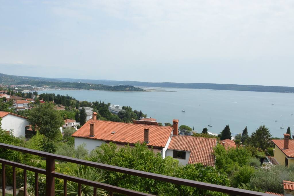 view from the terrace
