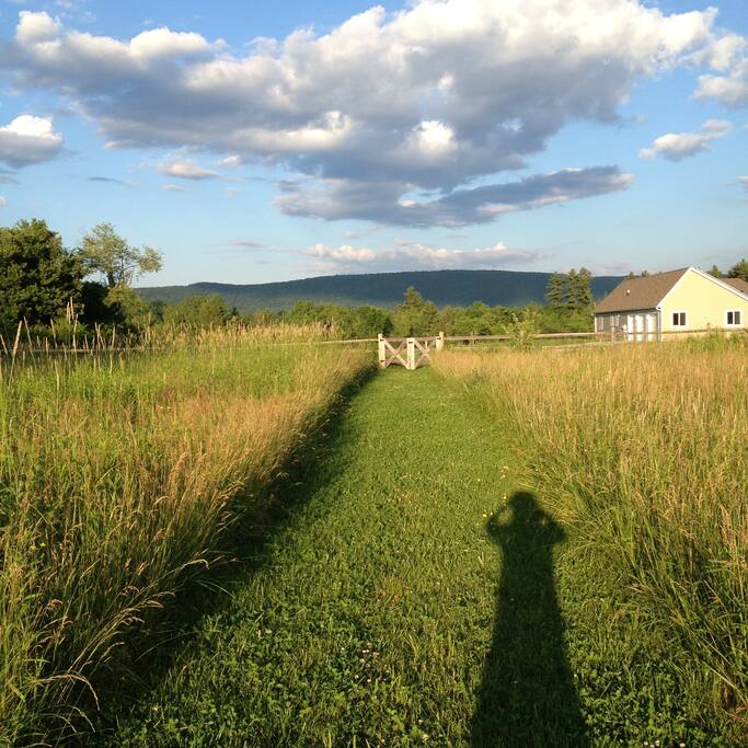 Backyard...great view with a fenced in yard for a dog