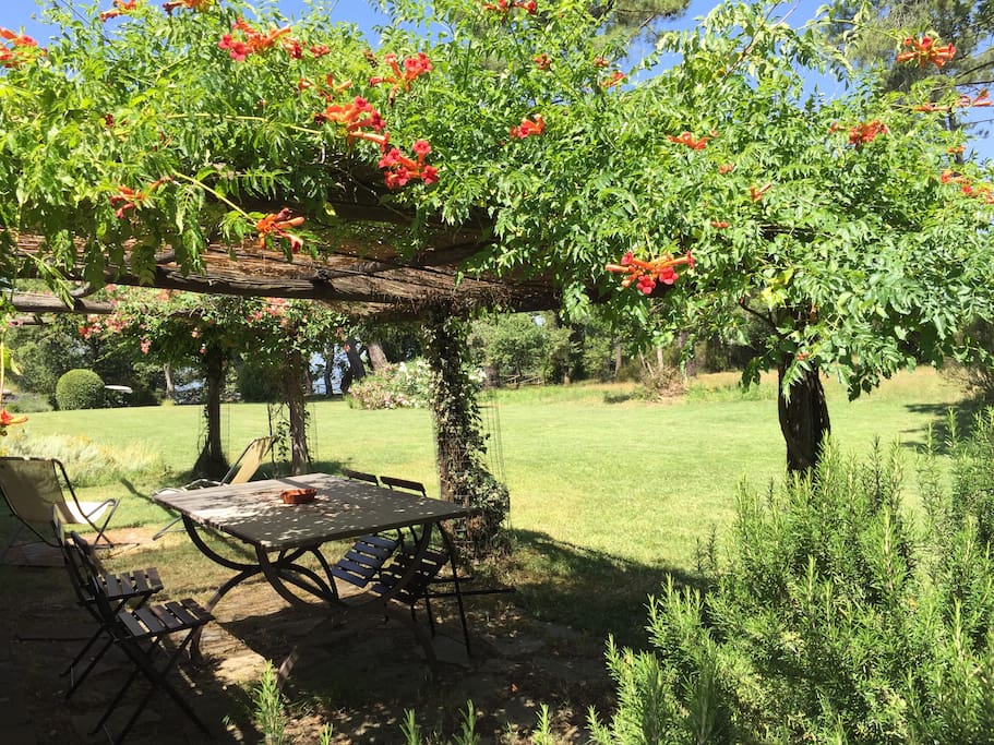 The pergola of the house