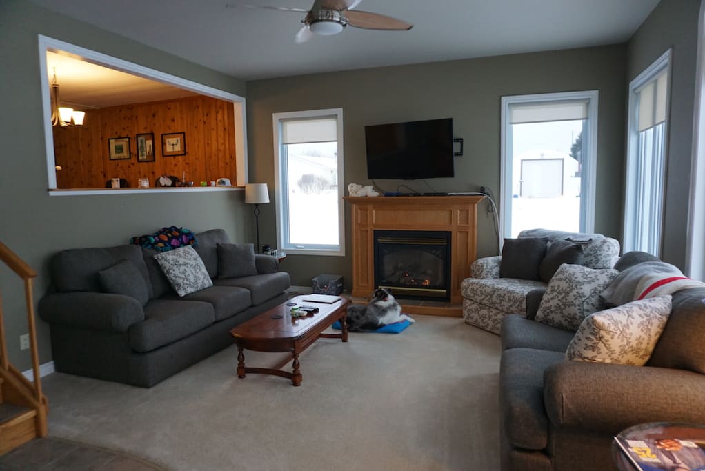 Our main living area with a natural gas fireplace, lots of natural lighting and our furry friend Chloey