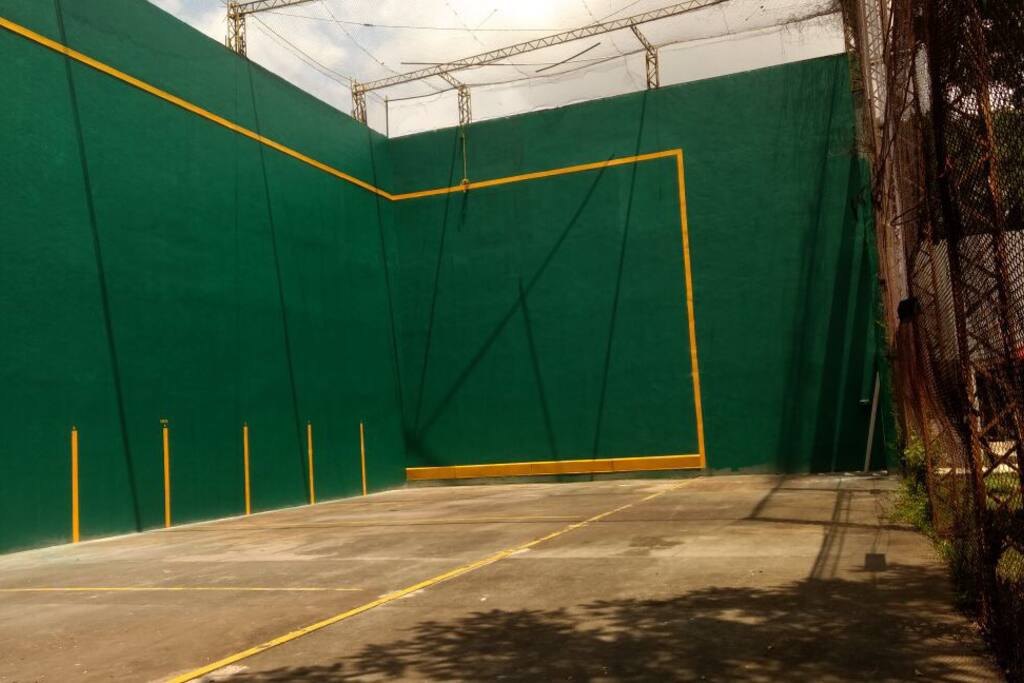 Fronton profesional enrejado
