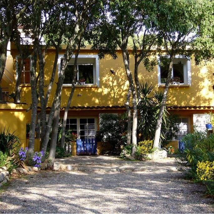 A yellow two-story building is surrounded by lush trees and vibrant plants. Several windows with white frames allow natural light to enter, while a gravel path leads to the entrance. The tranquil setting is enhanced by the greenery and colorful flowers.