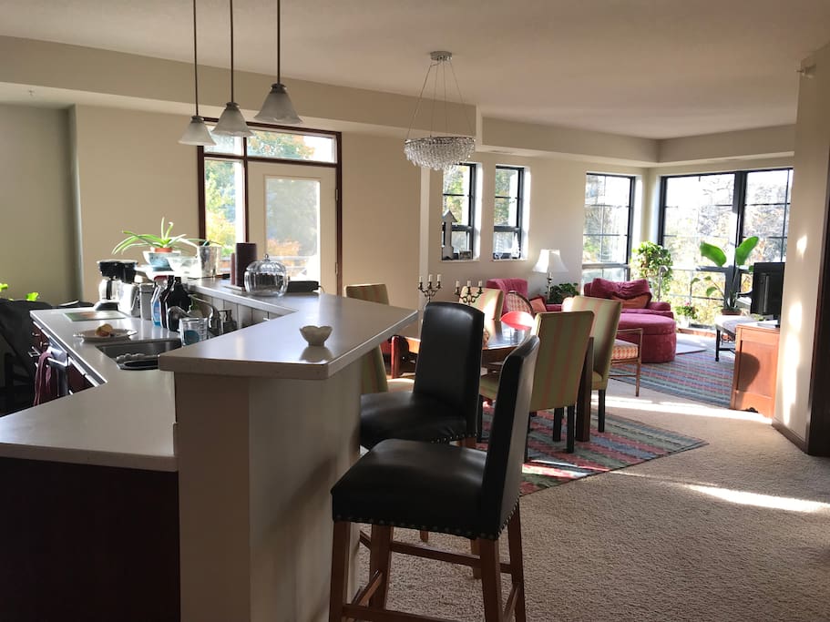 Open concept living space