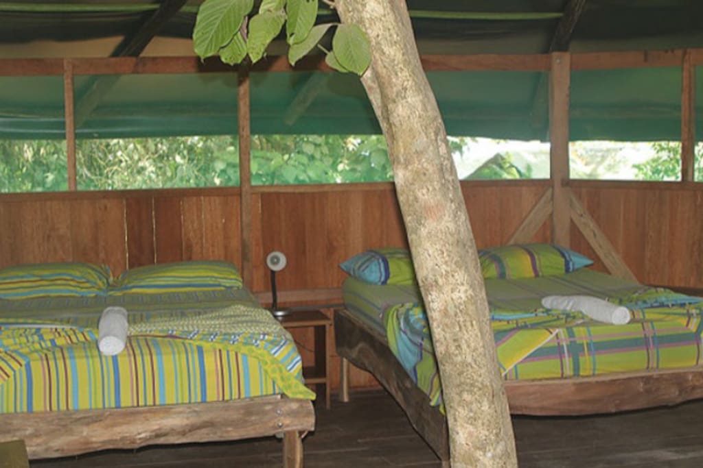 Tree House