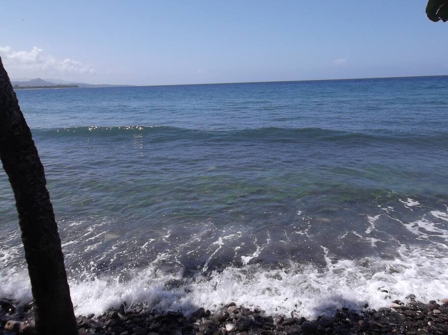 View of Ocean