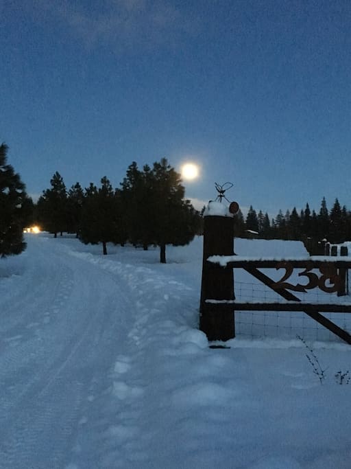 Moon rising at Contentment Acres!