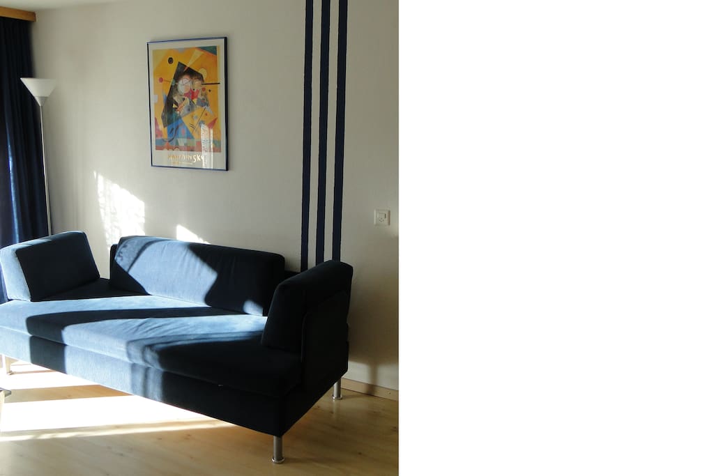 Komfortables 2 Bett Sofa ( "bed for living")