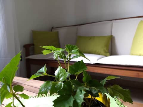 Top Airbnb: Detached villa with garden P1734 a Pula