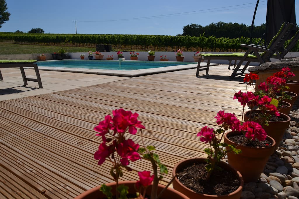 A pool view over the vines