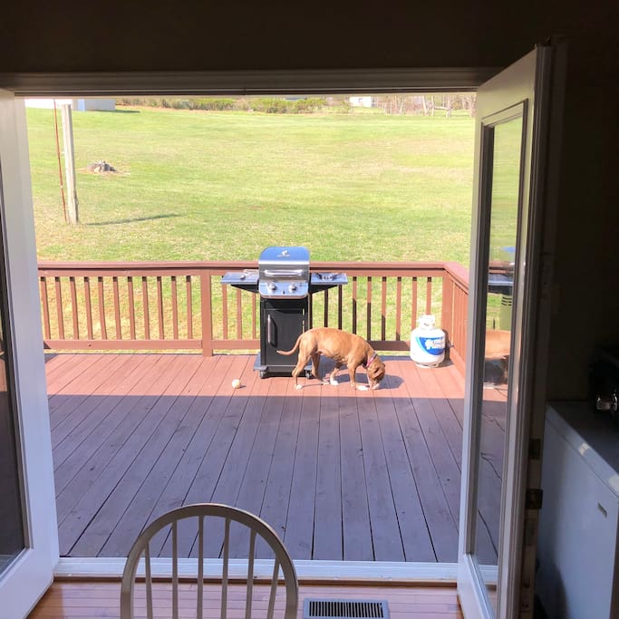 Back porch with grill that is always ready to go