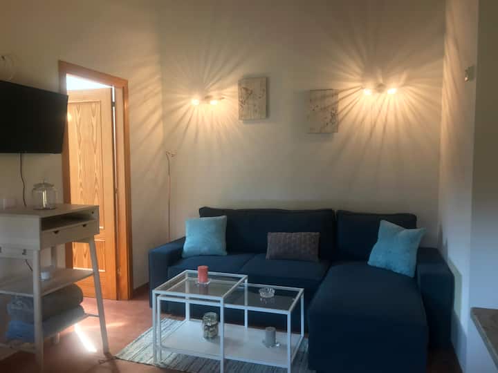 ДНЕВНА СОБА со кауч на спуштање