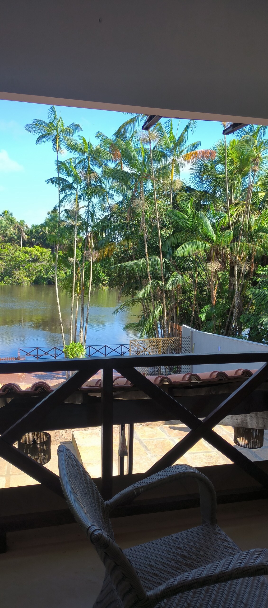A balcony view showcases lush palm trees surrounding a serene river. The vibrant greenery offers a calming contrast to the clear blue sky. A portion of the balcony railing is visible in the foreground, indicating an inviting outdoor space.
