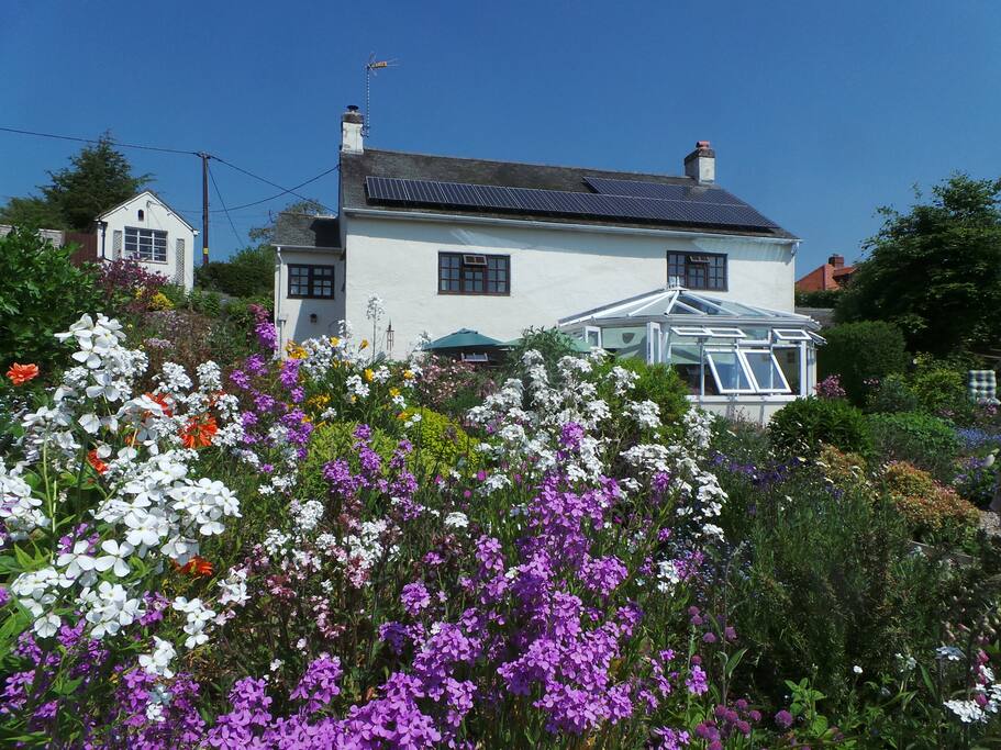 Dingle Pub Bed And Breakfast Dingle Pub Bed And Breakfast