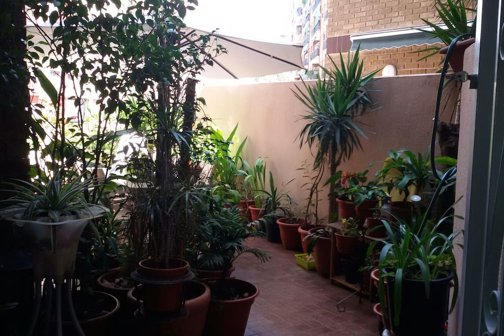 En la terraza también hay una parte cubierta con un sillón, por si llueve y se quiere fumar...
