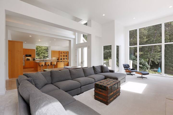 Modern Wayzata Home With Large Private Pool gallery image 4