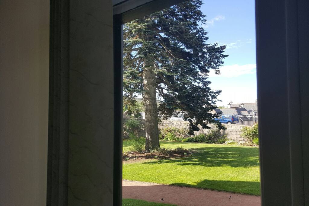 view from Bedroom