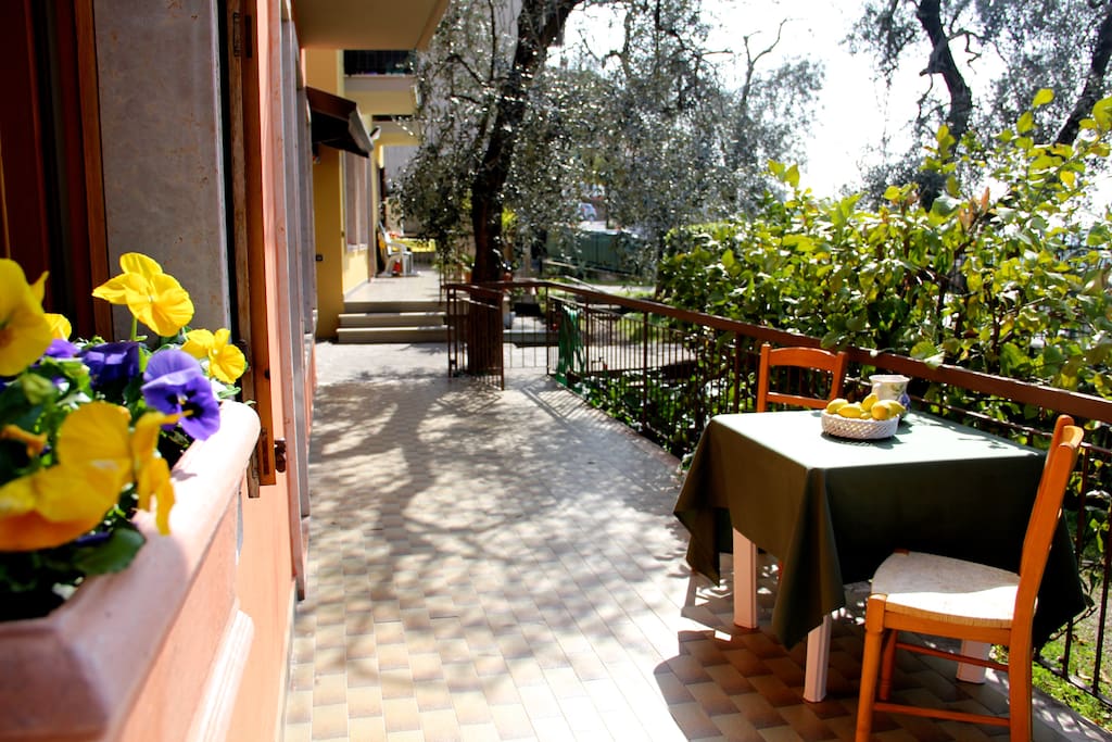the terrace