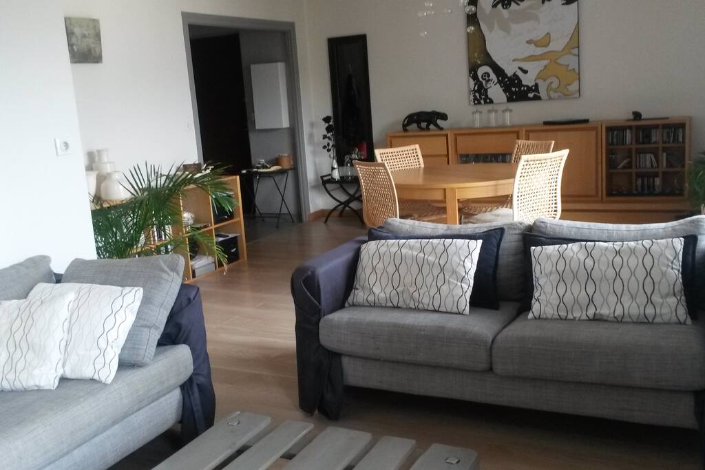 Piéce pricipale : salon/sam 29m²